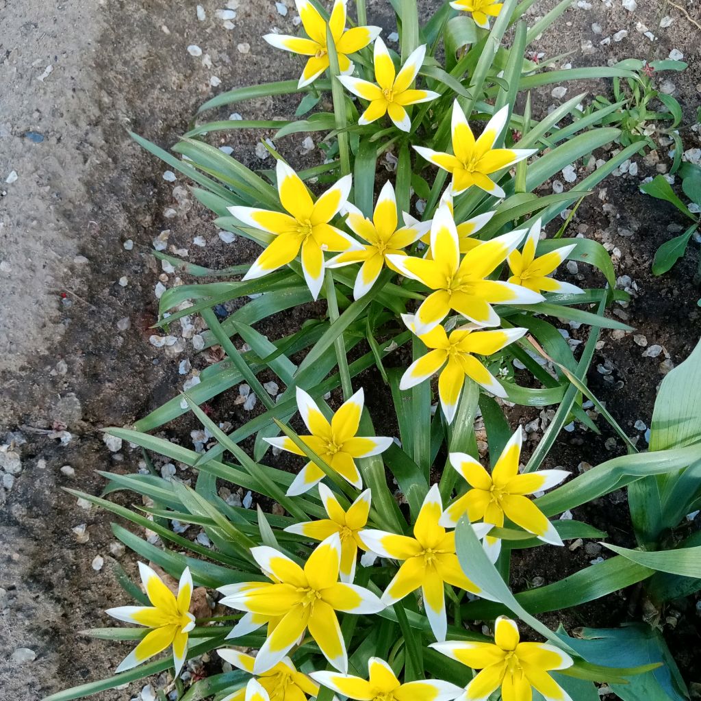 Маришка🇷🇺🌷🌷🌷