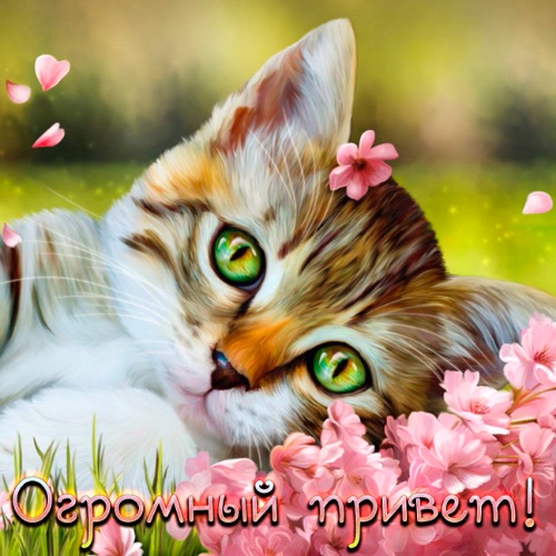 Ольга Рыжикова