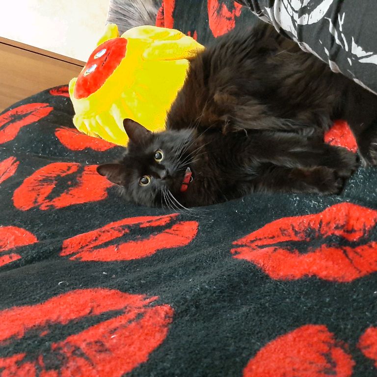 Инна