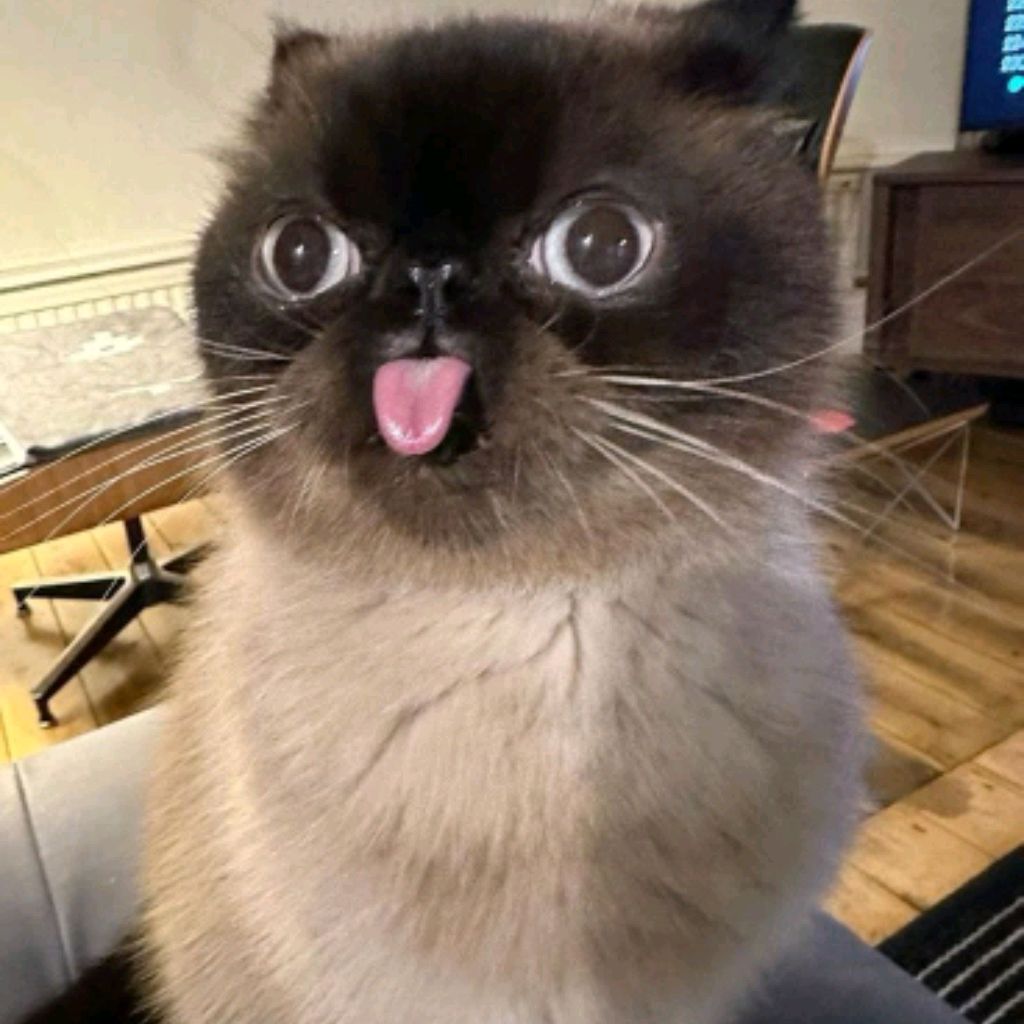 (-_-)