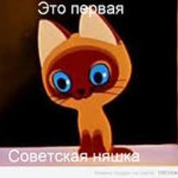 rutube_account_19920890