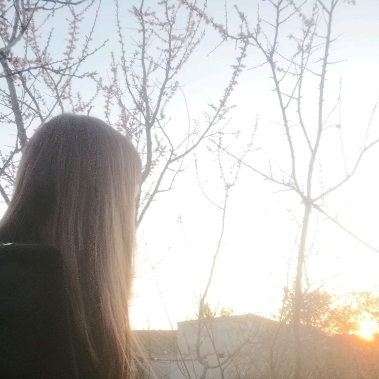 🌸