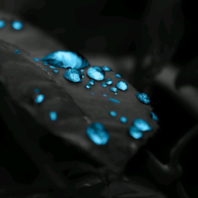 MARK_X