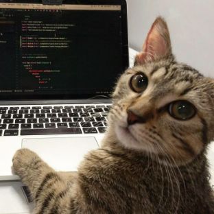 Ёшкин - Кошкин