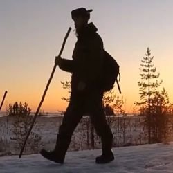 Брожу по Тайге