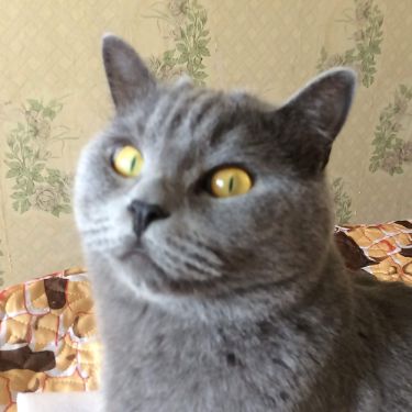 Ната