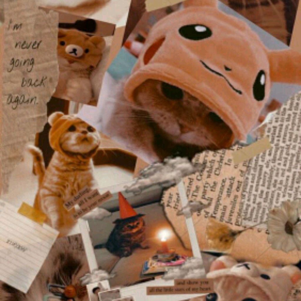 🩷 Полина roblox