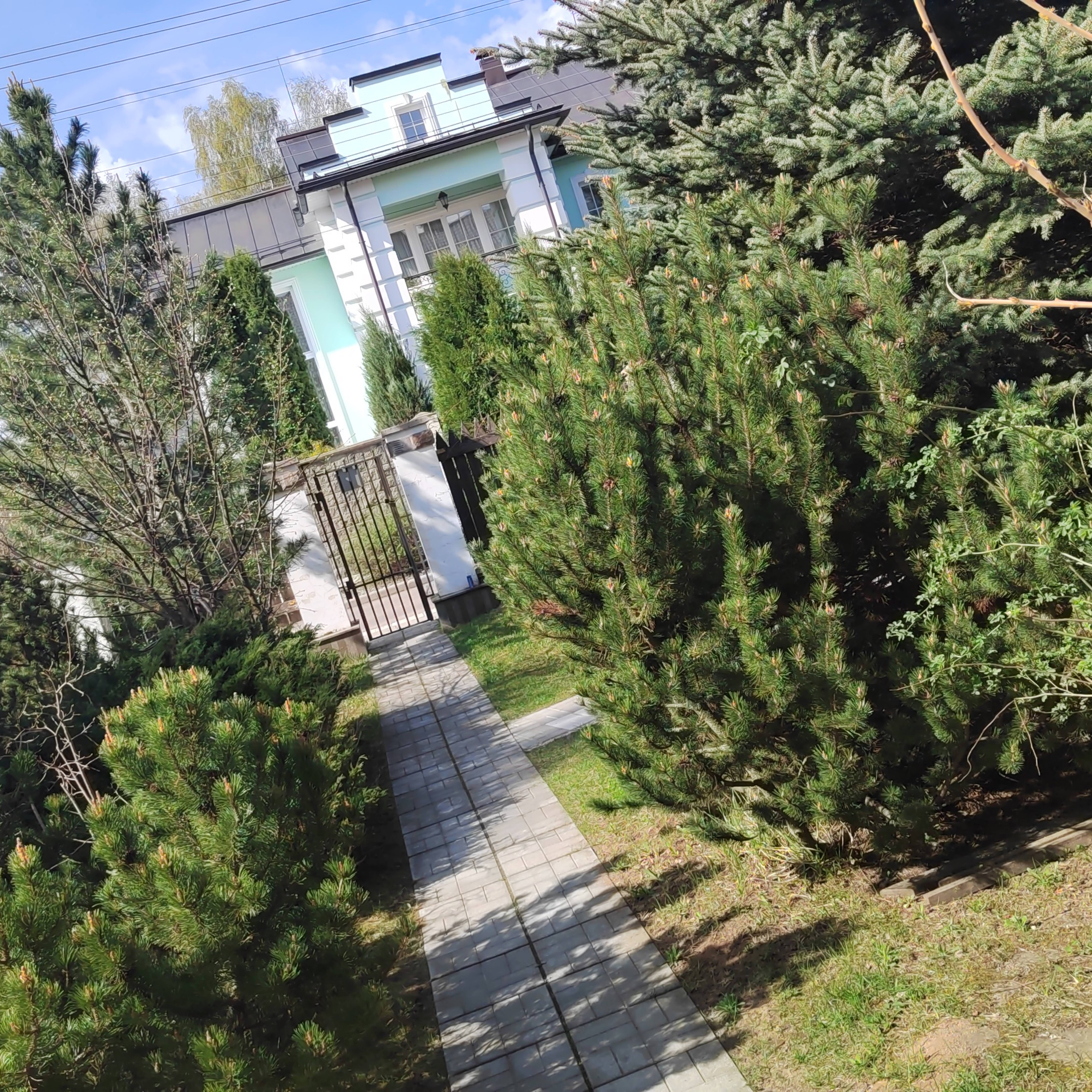 Старички Боровички 🧔🧓