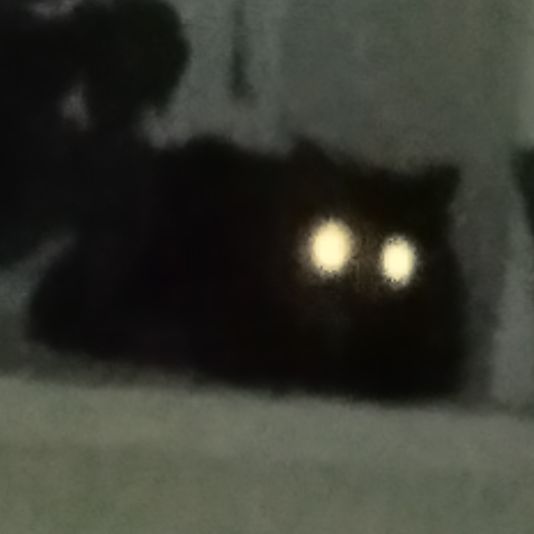 Roblox Angri_Birs