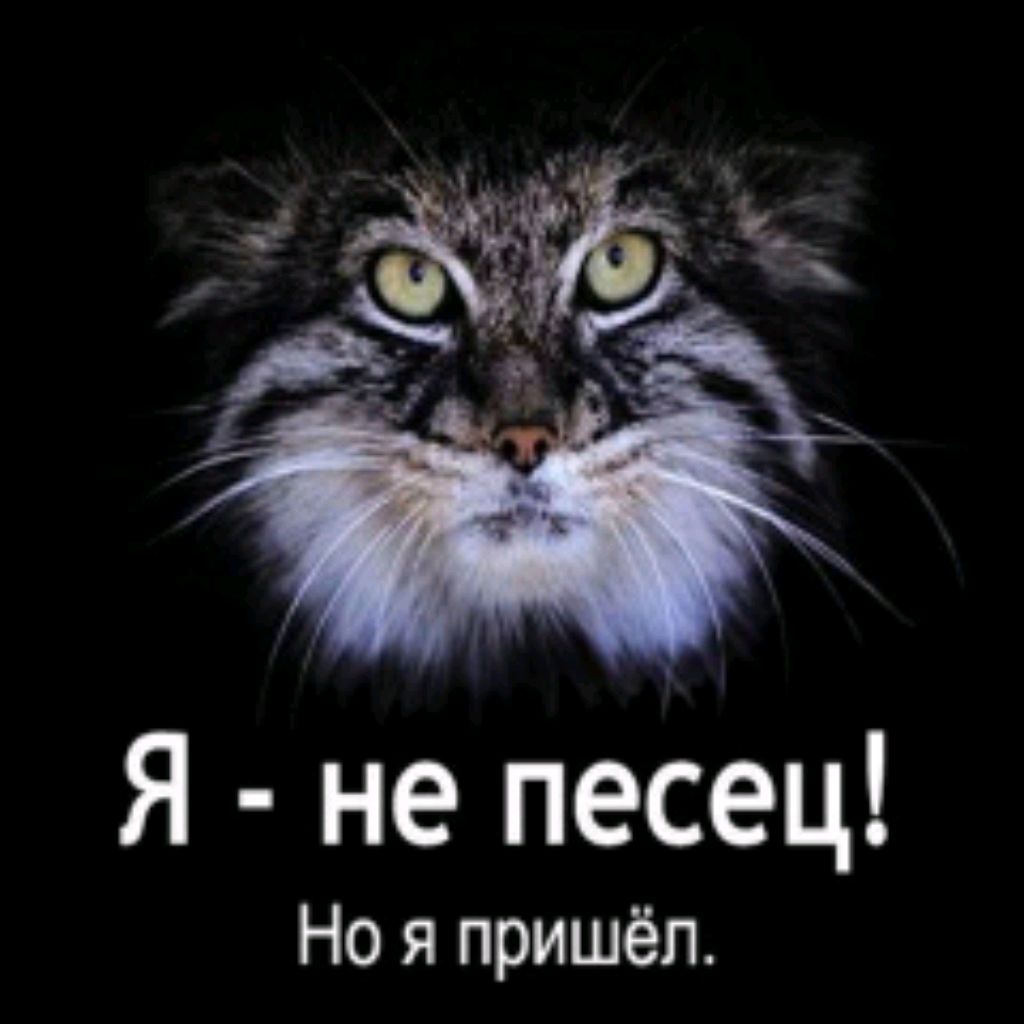 Иван Иванов🇷🇺
