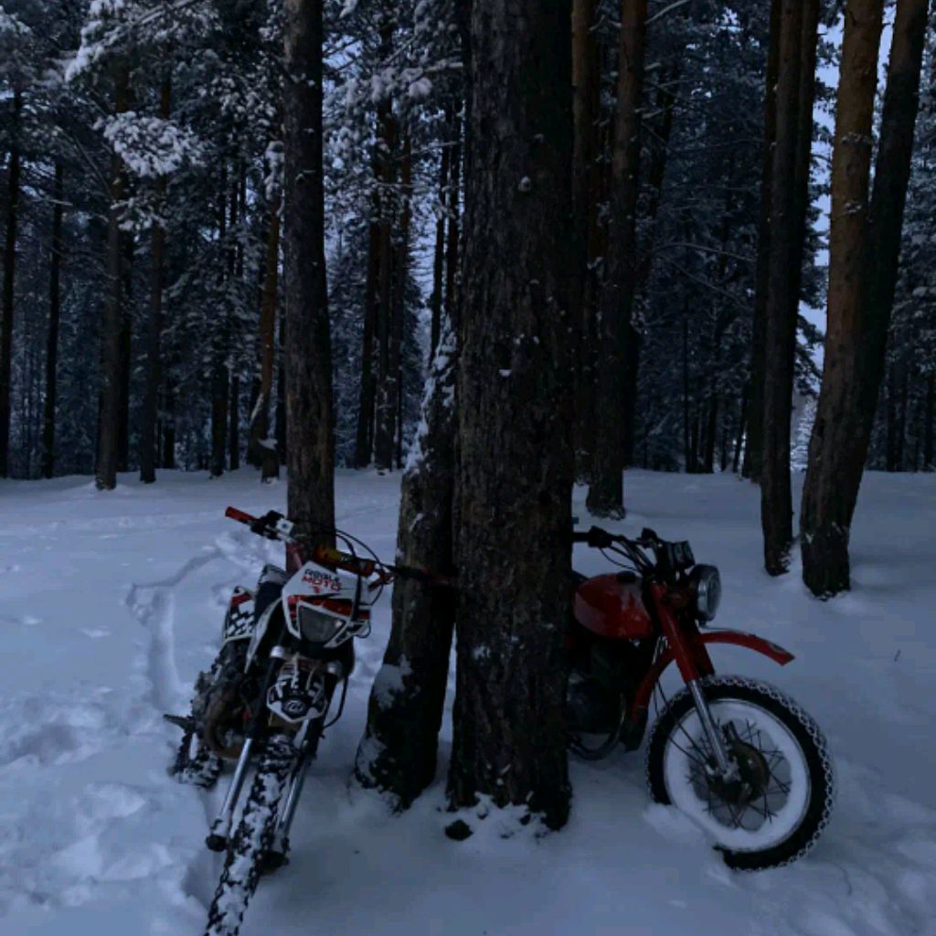 MOTO_BRAT
