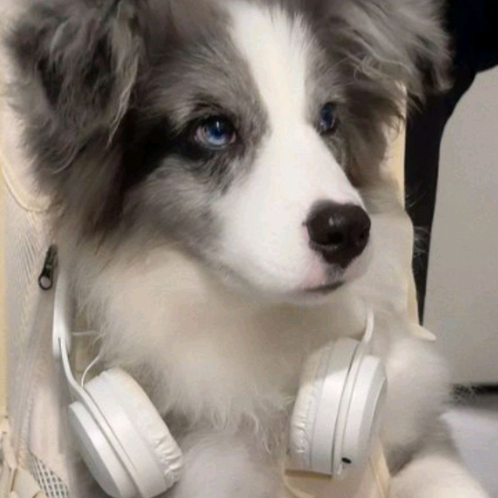 miko