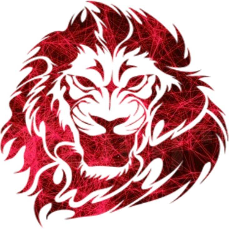 Leo Play ♌︎ ✔