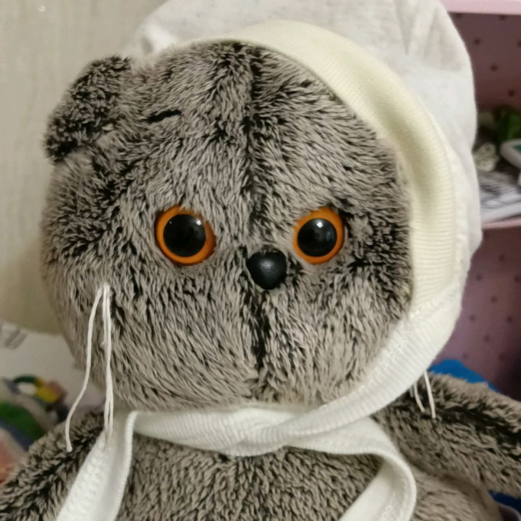 Баси Кэт