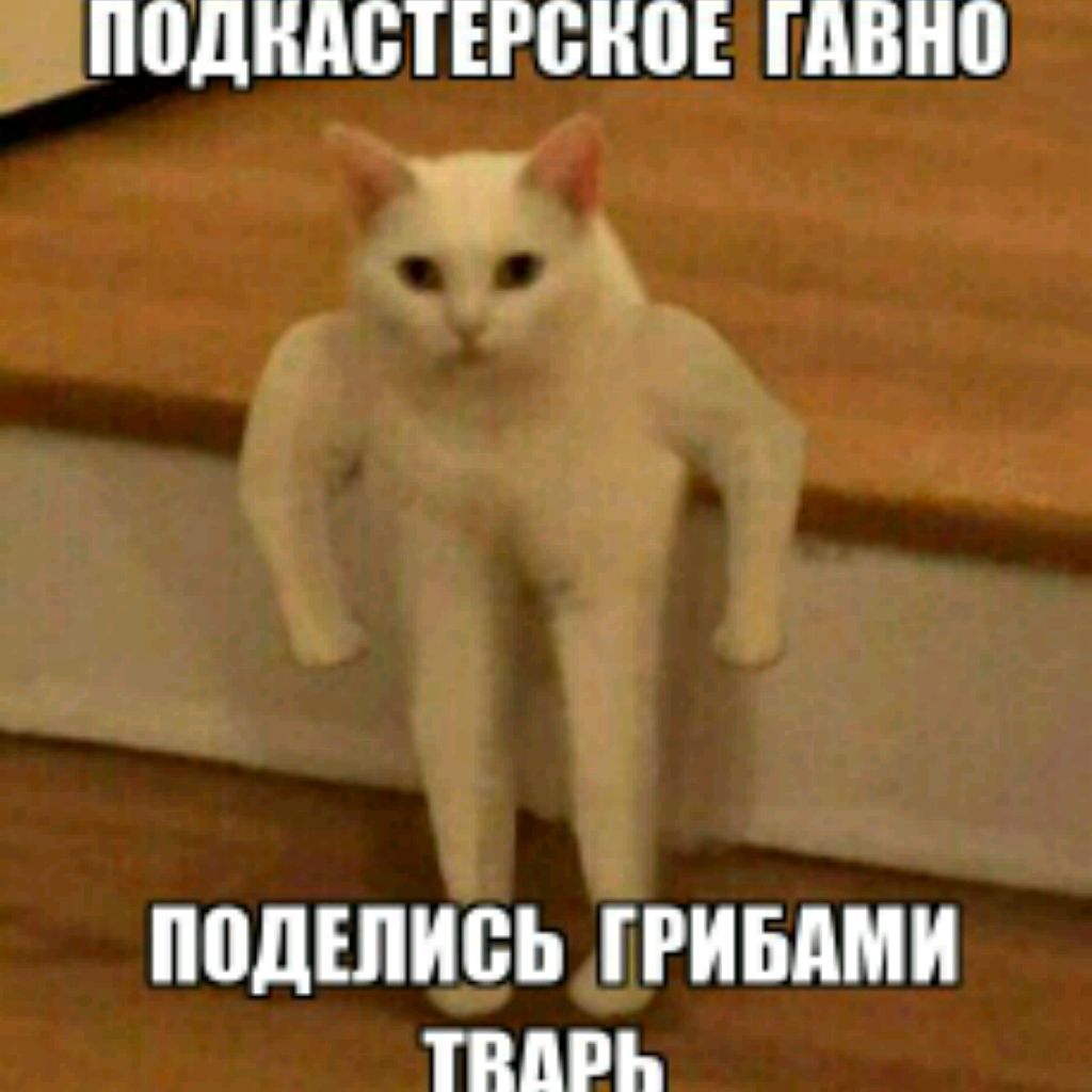 АНТОШКА ЛУЧШИЙ АСМРТИСТ!