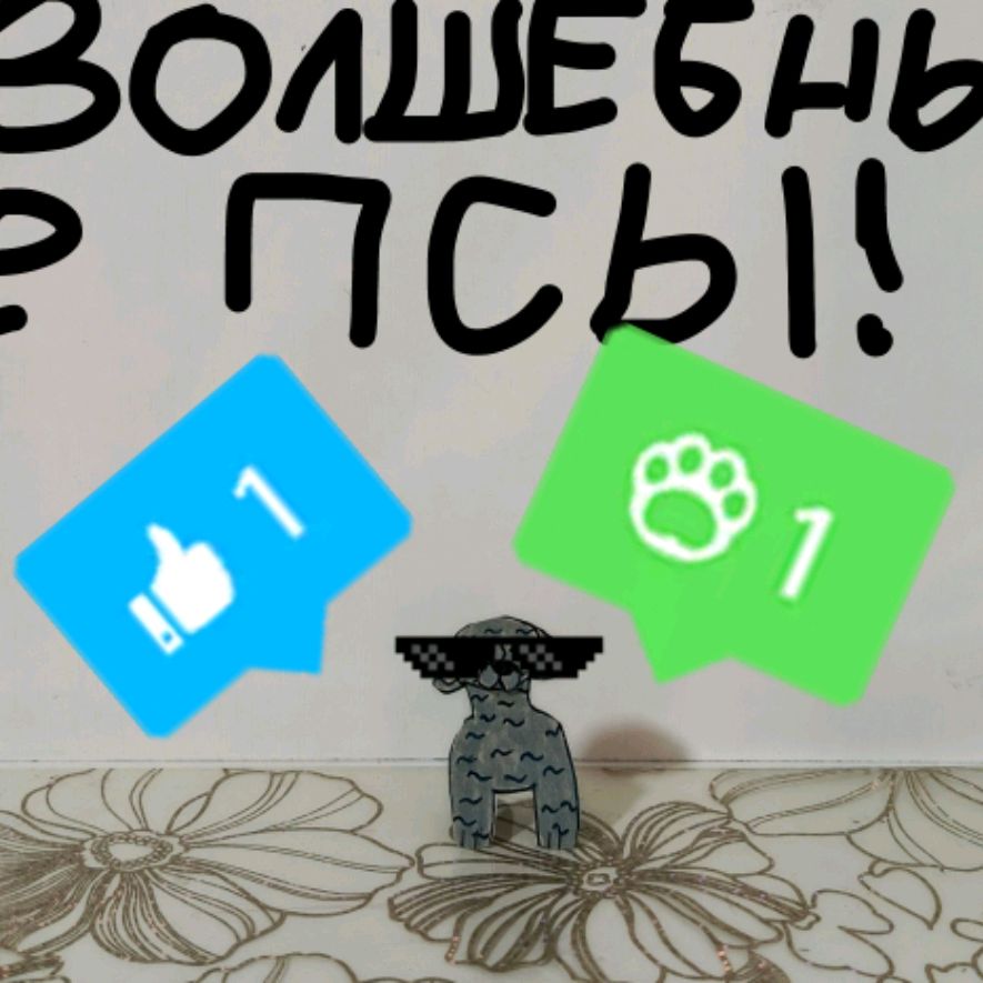 Волшебные псы!