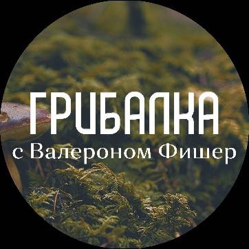 Грибалка С Валероном Фишер