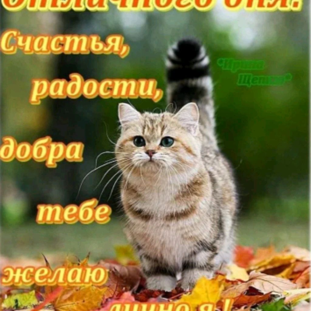 Ruslan 88888