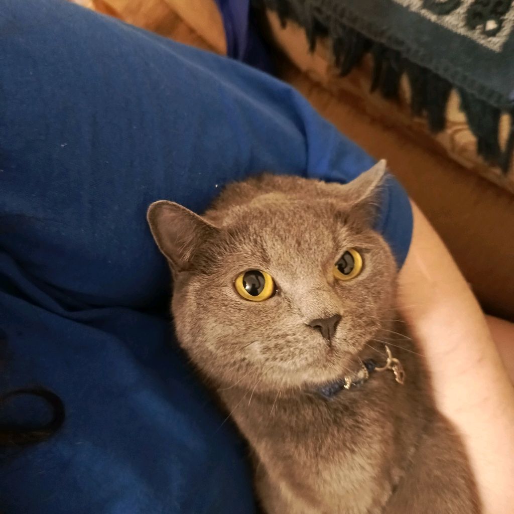 Ibrahim