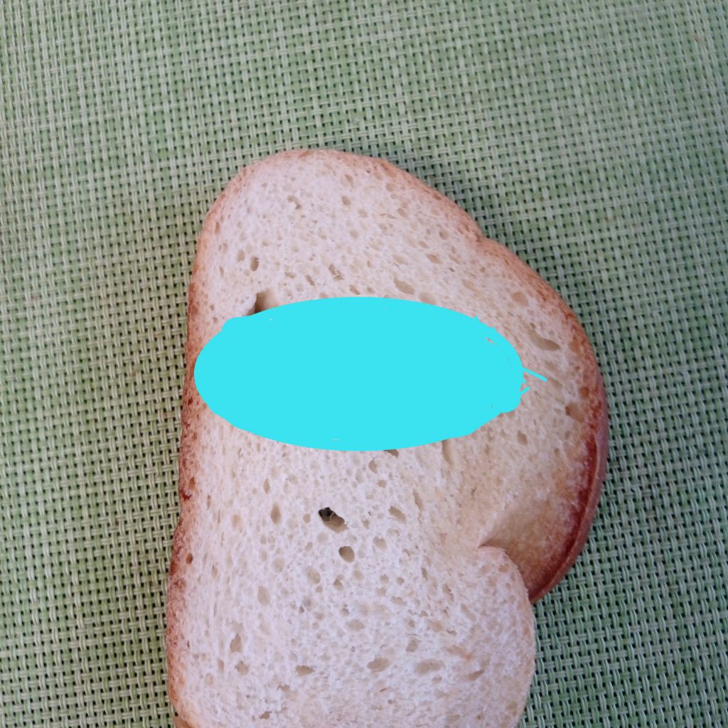Хлебус