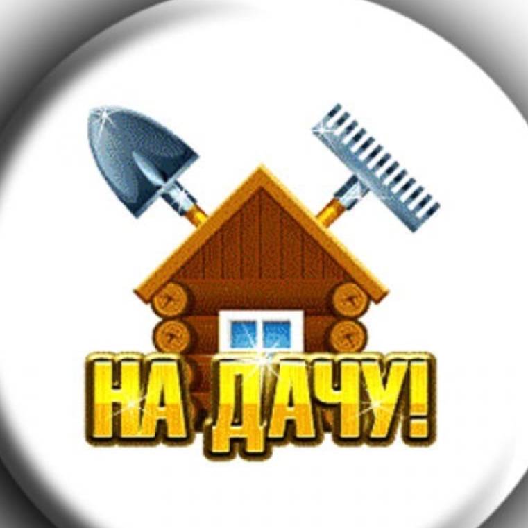 Сад огород и пчёлы