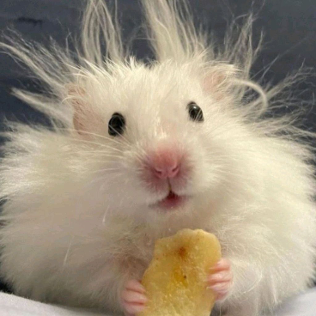 💖😽💞🥰М😍😻💘🩷Д💝💗💓💞💕