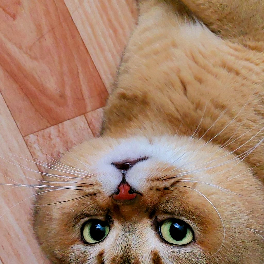 Александра