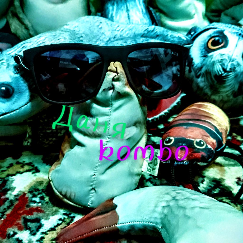 Даня kombo