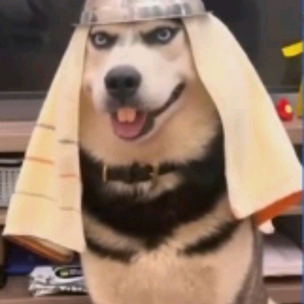 Бобр