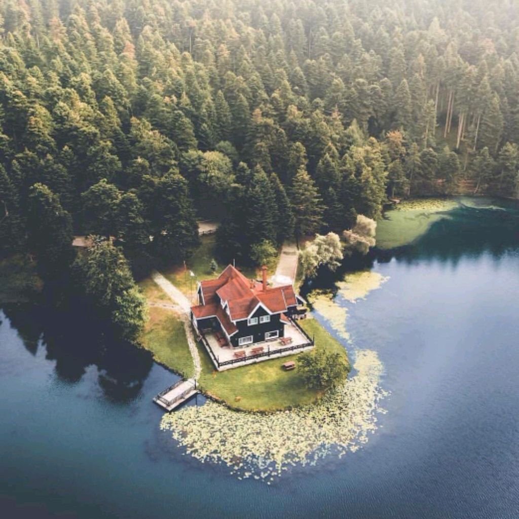 ПАНТЕРА