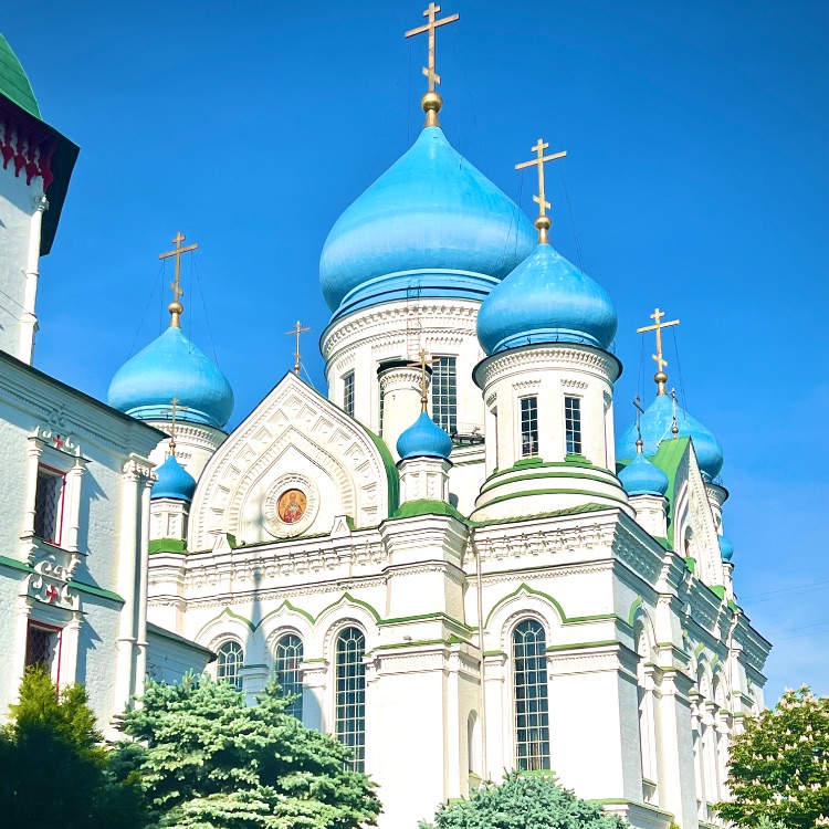 Николо-Перервинский монастырь