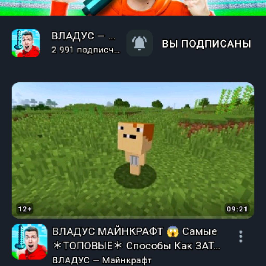 Владус 
╲