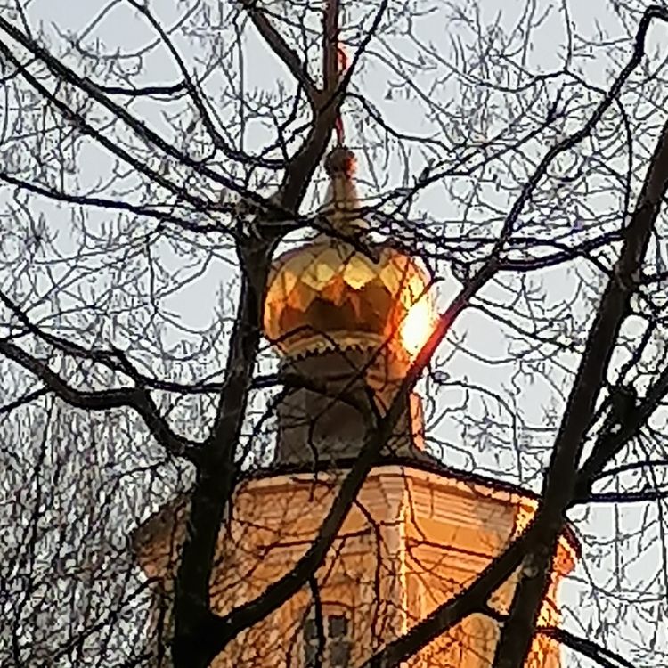 Алена
