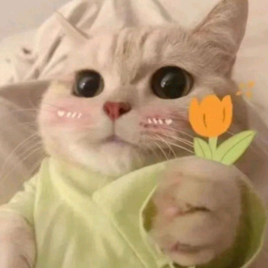 Пушистый кот 🐈