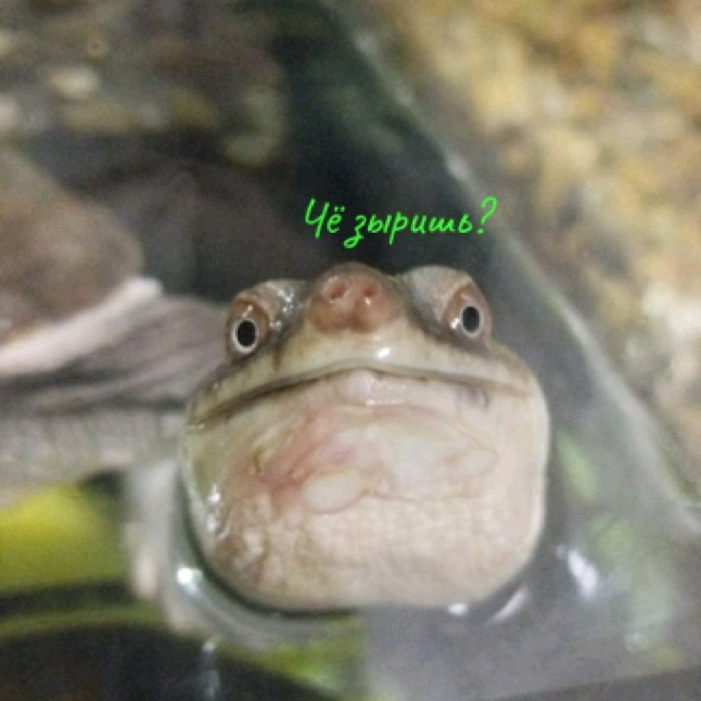あなたは本当に何を見ていますか？