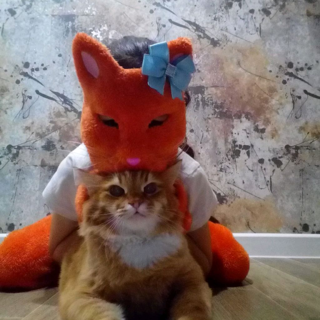 Даша И Барсик🧡