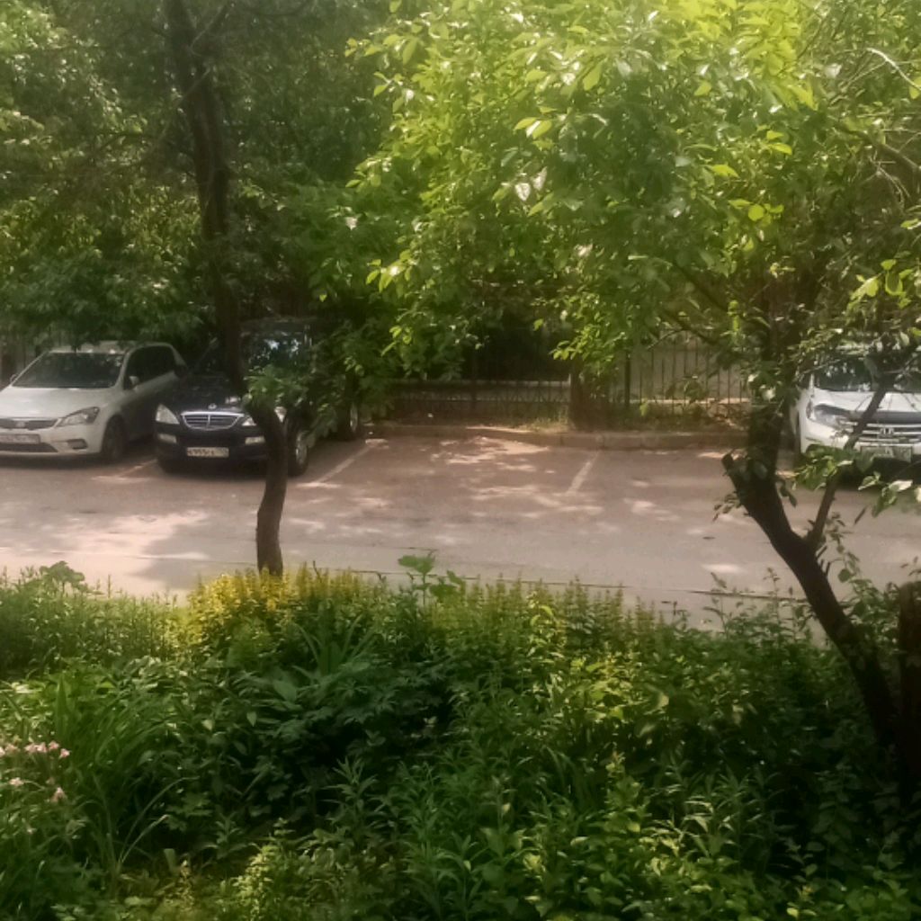 [{сонняк}]