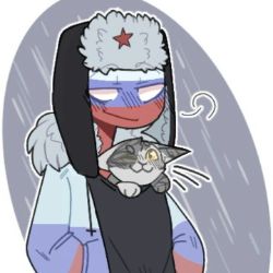 Cем