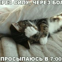 Ученик Зверя_Bestia Mea Maestru 666