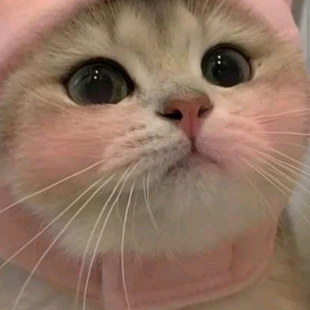 КОСЯ✅