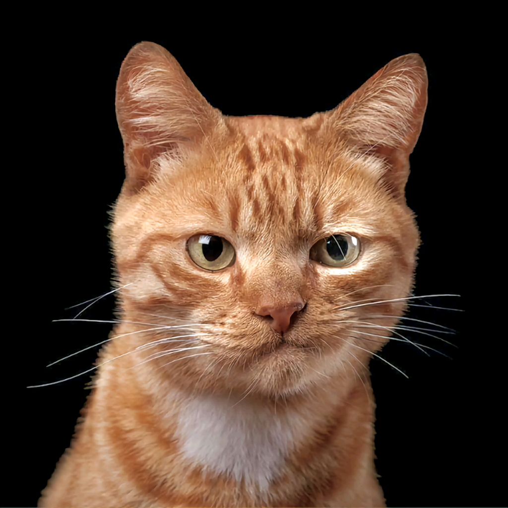 Димон