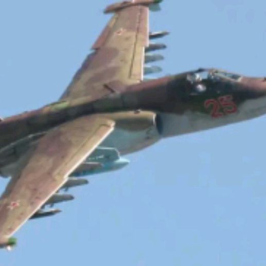 Грач су 25
