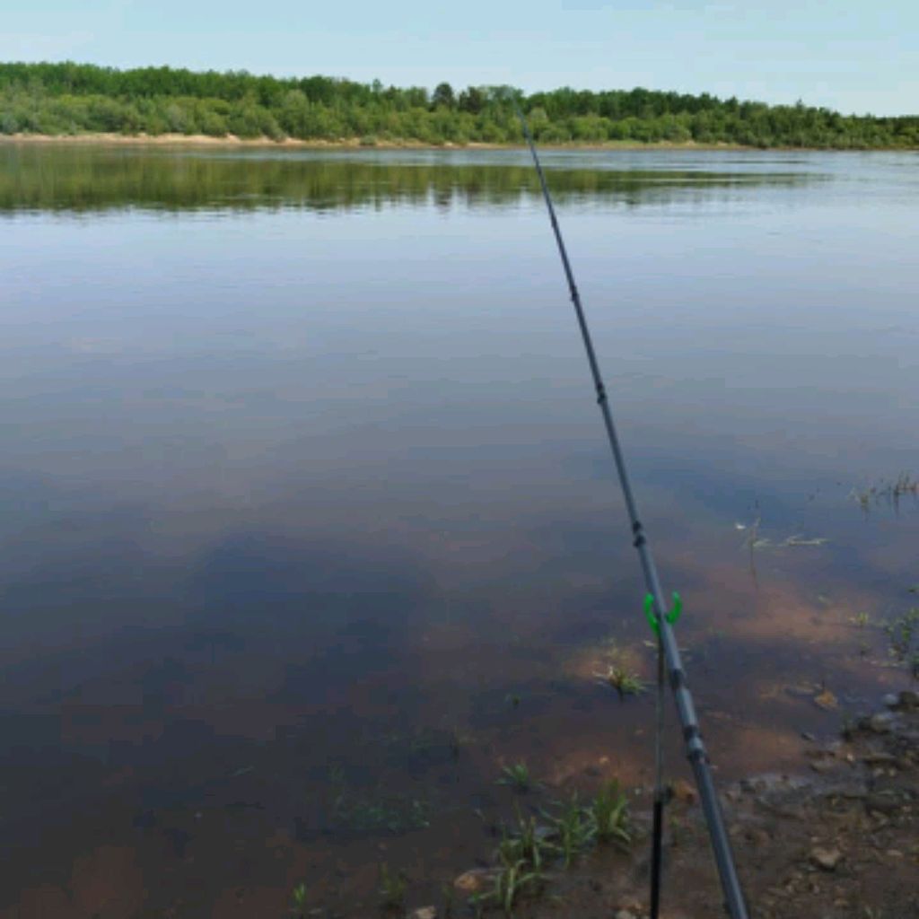 Рыбалка12