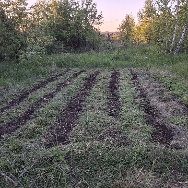 Кладовая Солнца