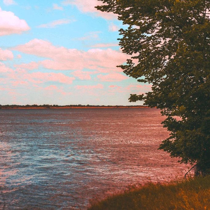 Алекс