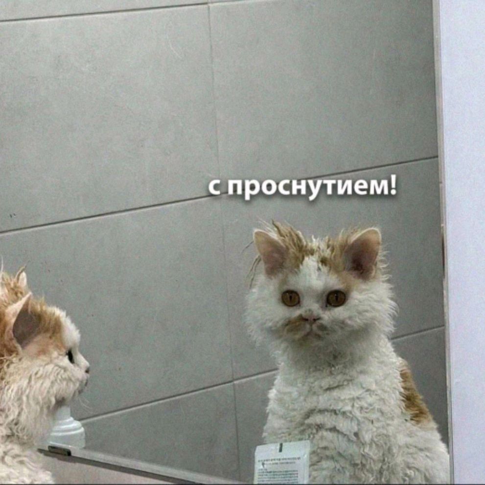 Комисар