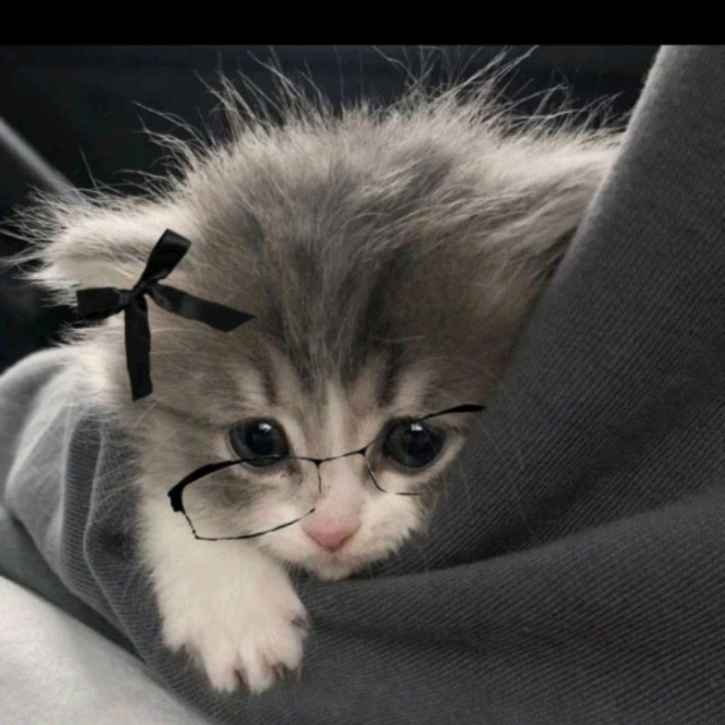 Супер Кристя💘🪷🌺