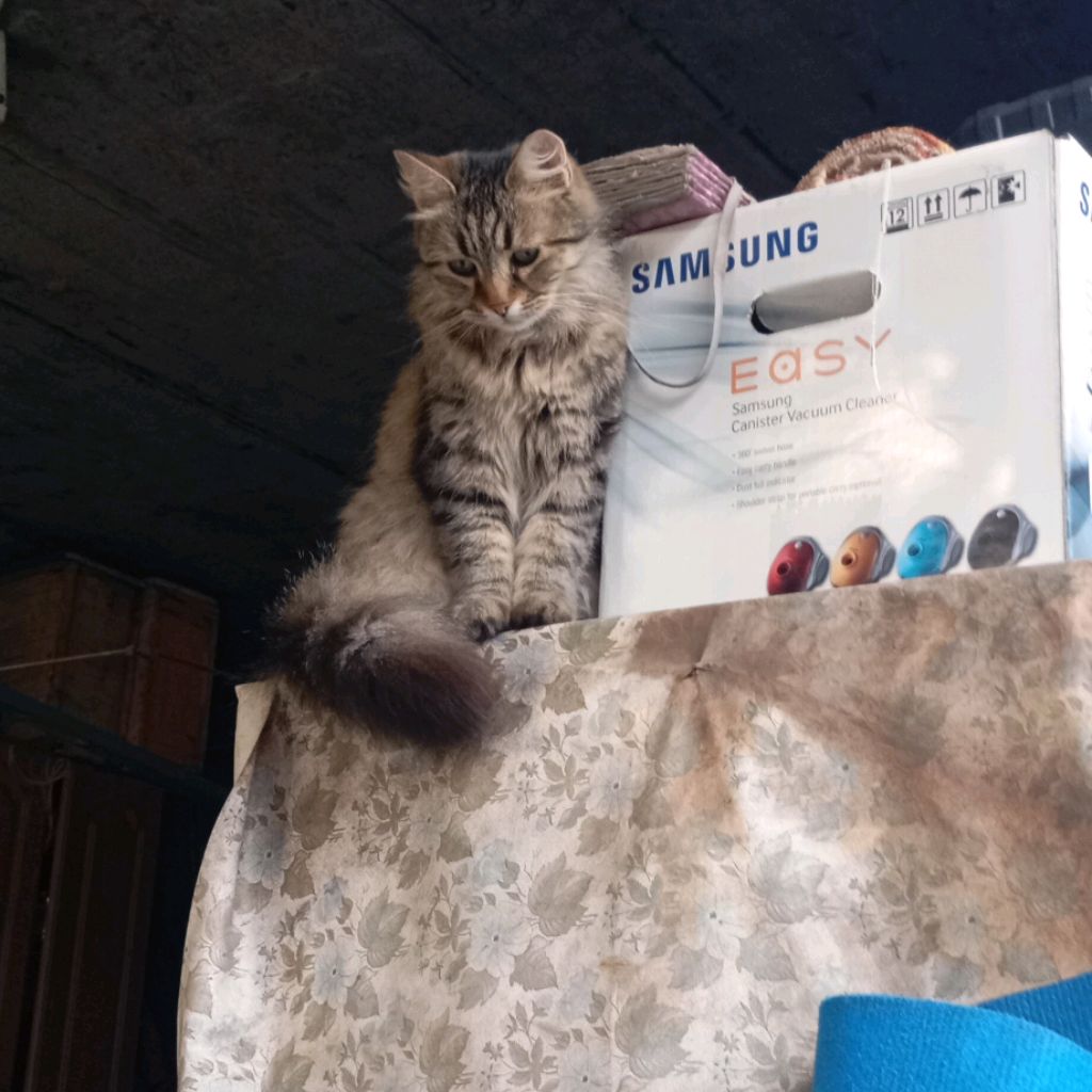 Андрей