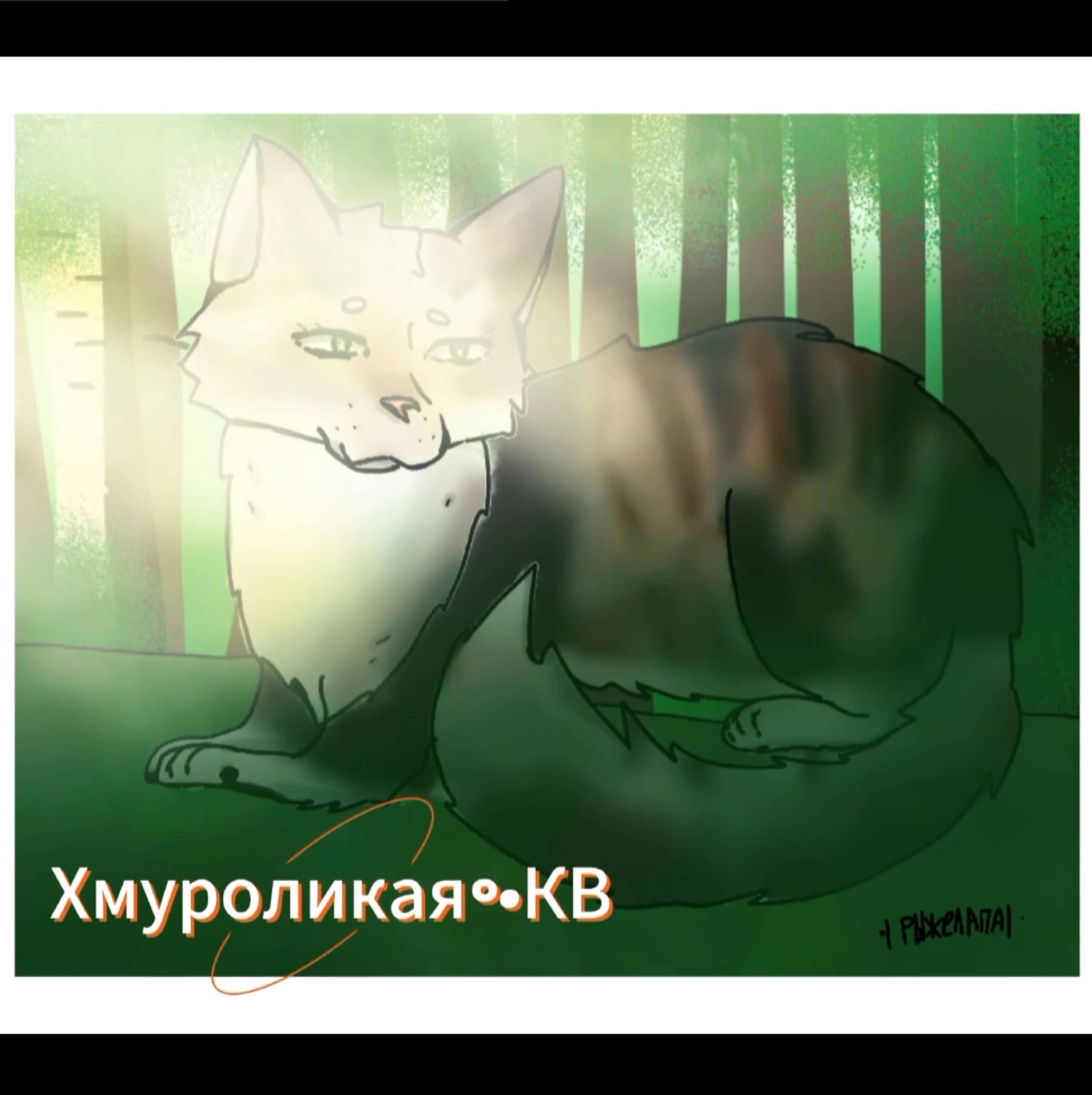 Видео больше не будет!