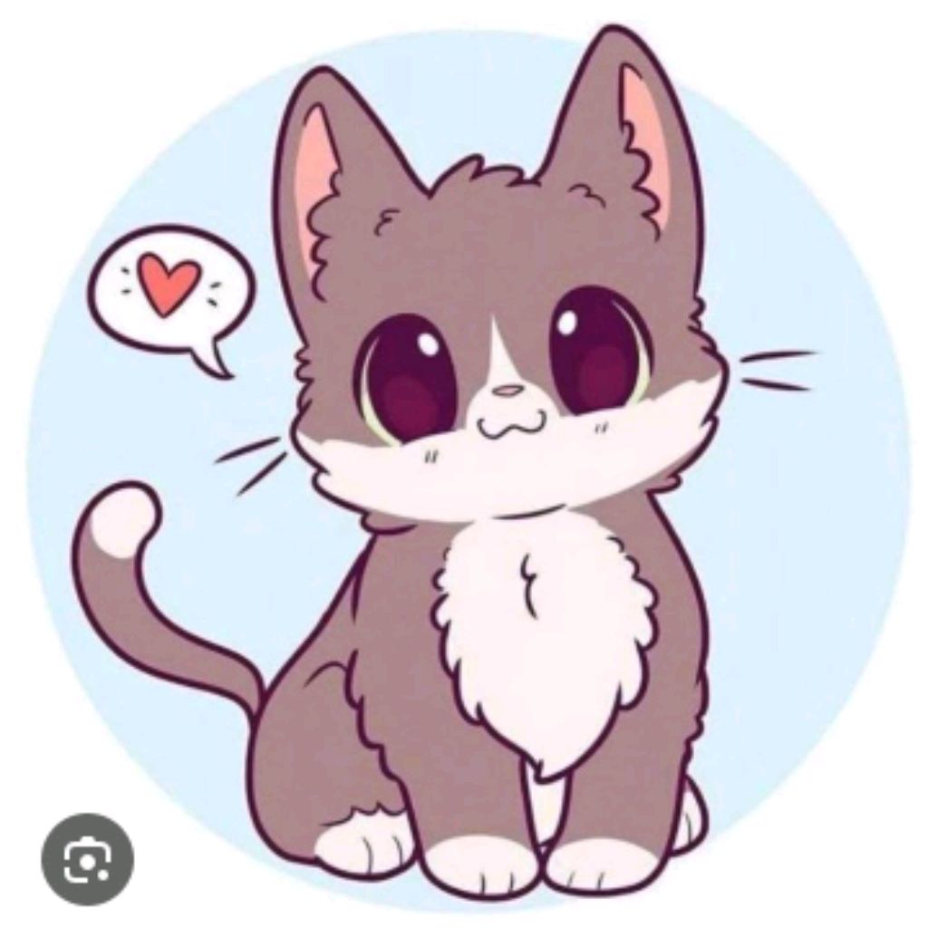 Cate TV😺